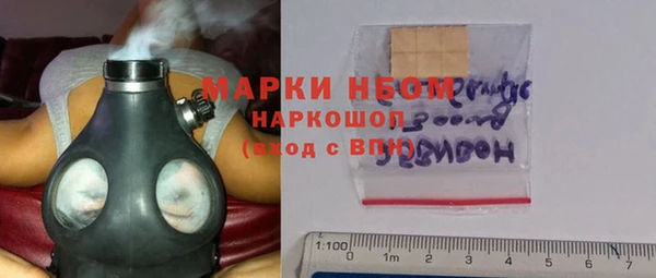 гидра Володарск