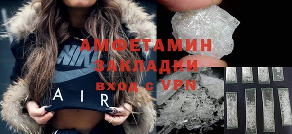 гидра Володарск