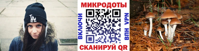 купить закладку  Вилюйск  Псилоцибиновые грибы Magic Shrooms 